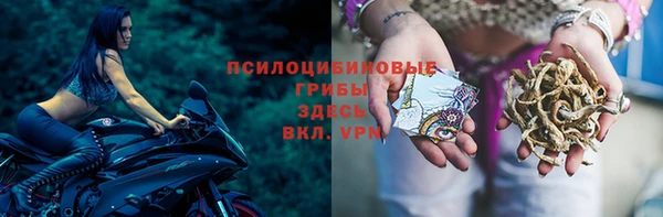 амф Белоозёрский