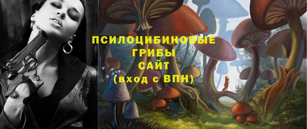 прущий лед Белокуриха